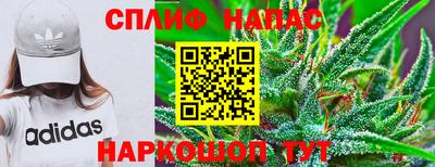 прущие крисы Кингисепп