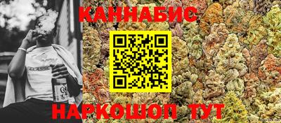 прущие крисы Кингисепп