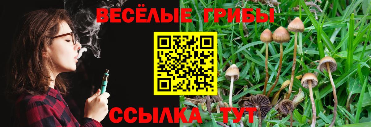 Галлюциногенные грибы прущие грибы Биробиджан