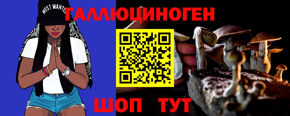 Биробиджан  Галлюциногенные грибы прущие грибы  сколько стоит  Вход с VPN 